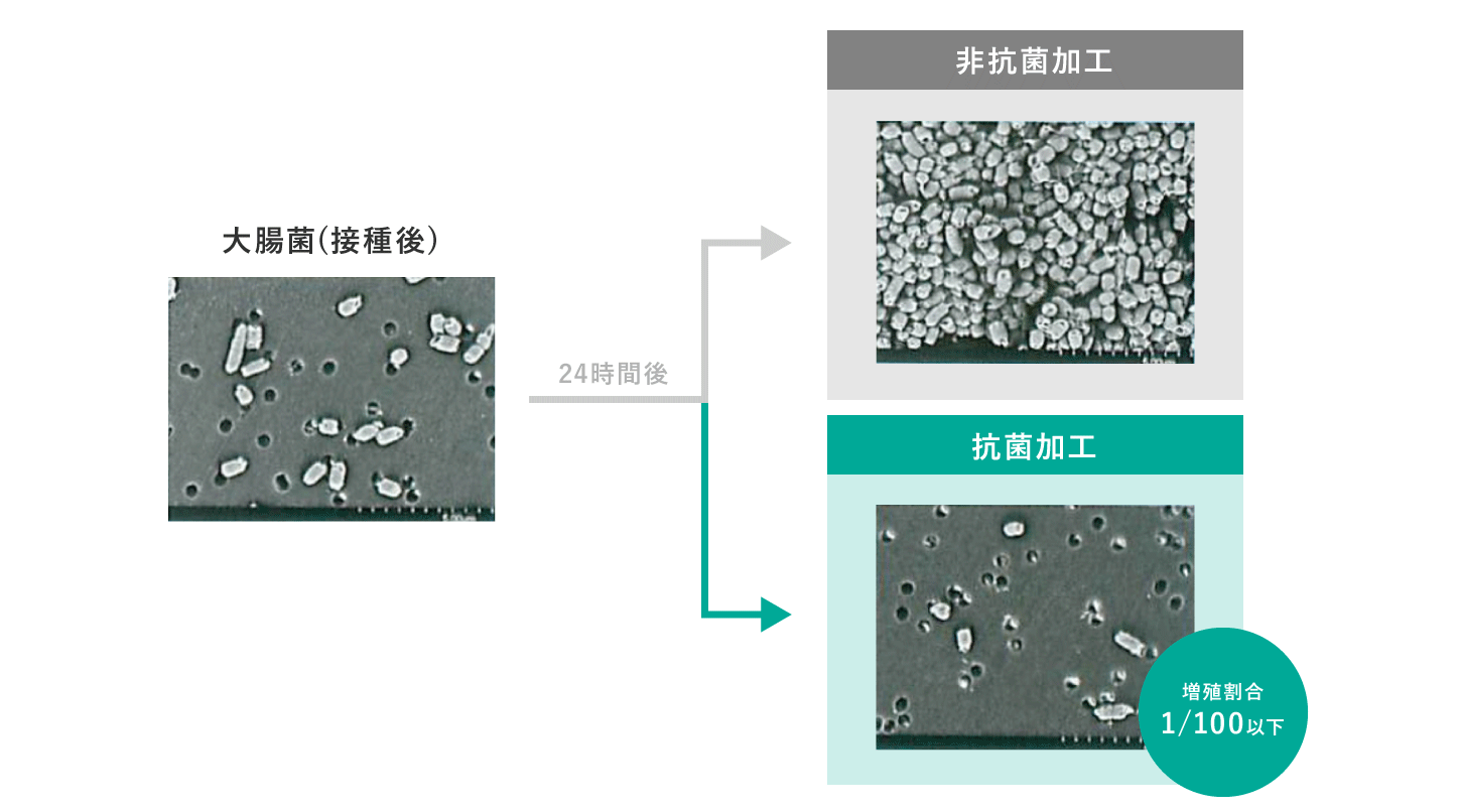 抗菌加工と非加工の細菌の増殖イメージ写真