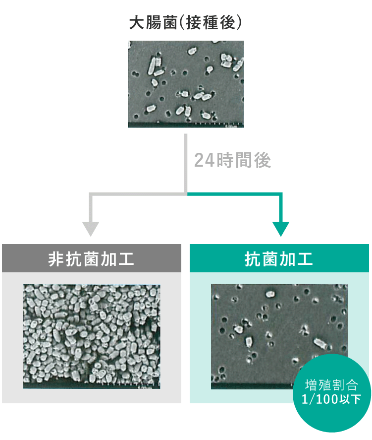 抗菌加工と非加工の細菌の増殖イメージ写真